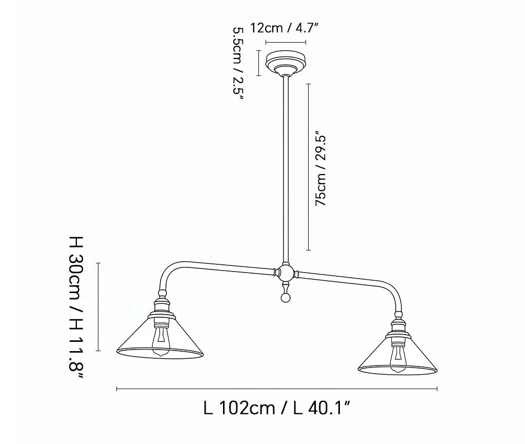 Black line drawing of a two-light pendant ceiling fixture with dimension labels showing width L 102 cm / 40.1 inches, height H 30 cm / 11.