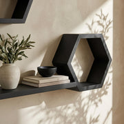 Close view of a matte black hexagon shelf and ledge with a plant and books