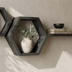 Hexagon Wall Shelf Set, Matte Black Pine Wood Plant Shelves