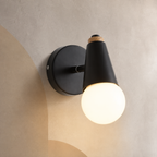 Black globe vanity sconce with iron backplate lit warm on a greige wall