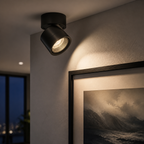 Black adjustable ceiling spotlight rotated toward framed art with a visible beam