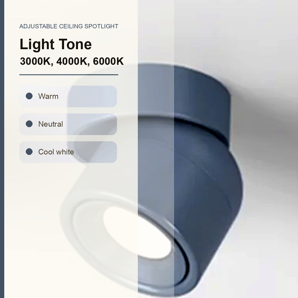 Adjustable Ceiling Spotlight light tone infographic
