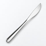 One silver dinner knife on a soft studio background.