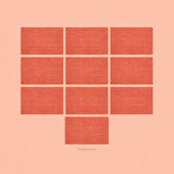 Orange woven vinyl placemats, 10-piece set, 30 by 45 cm each.
