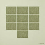 Green woven vinyl placemats, 10-piece set, 30 by 45 cm each.