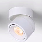 Adjustable Ceiling Spotlight, Surface Mounted LED Downlight, CRI 98 - White variant studio v2