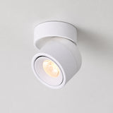 Adjustable Ceiling Spotlight, Surface Mounted LED Downlight, CRI 98 - White variant studio v3 Codex